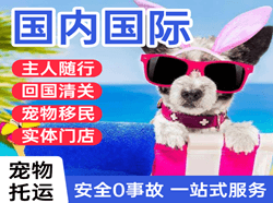 温州航空托运国际宠物托运 【国